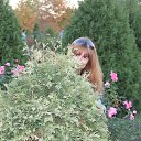 ���� �����, ������ ��� - ��������� 11 �������� 2017 � ������ ���� ����������