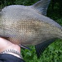 ���� ������, ����� ������, 58 ��� - ��������� 30 ���� 2017 � ������ ���������� ���� 2017�