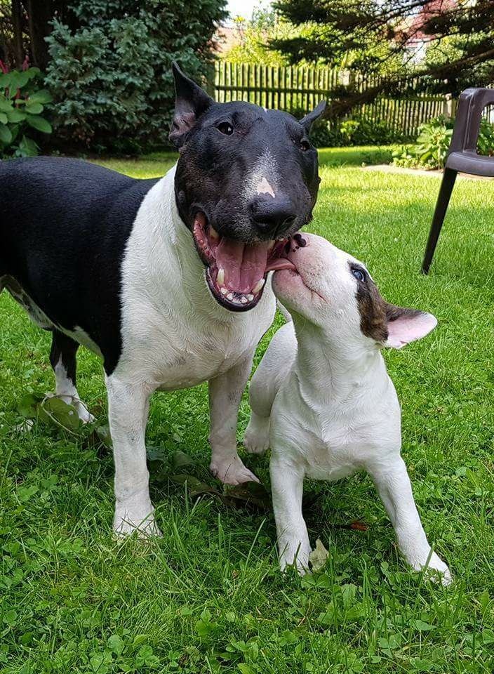 Хорошего дня, Буле-Городок!