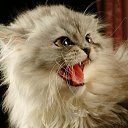  , --, 57  -  6  2017    