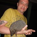 ���� ������, ���������, 58 ��� - ��������� 20 ������ 2017 � ������ ���� ����������