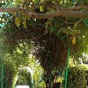  , , 60  -  17  2017      ,17.05.17.