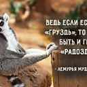 ���� ������, �����, 52 ���� - ��������� 21 �������� 2017 � ������ ���� ����������