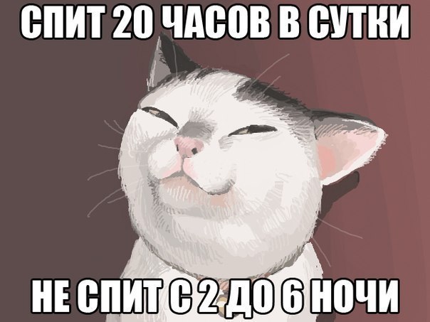   - 9  2017  04:12