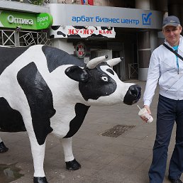 ���� ����, ������, 47 ��� - ��������� 29 ������� 2017