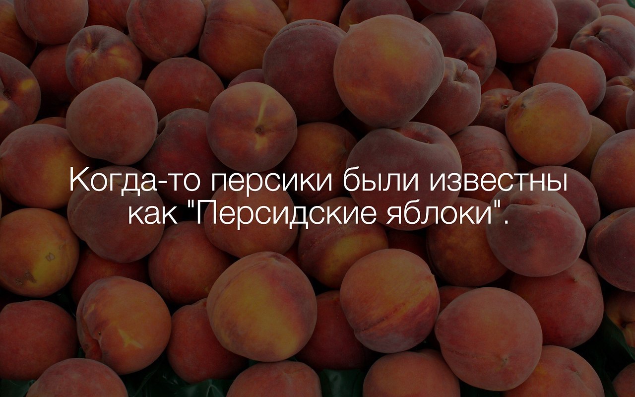  Just Business - 4  2017  08:22