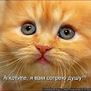 ���� ���������, ����������, 64 ���� - ��������� 24 ��� 2017 � ������ ������ ��������
