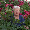 ���� ������, ���������, 64 ���� - ��������� 20 ���� 2017