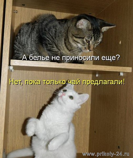   - 10  2017  20:34