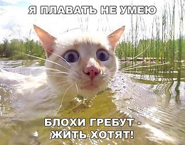Comedy Club - 30  2017  07:02