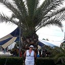  , , 68  -  19  2017    2017