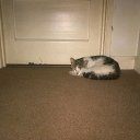 ���� Gareth, ����, 39 ��� - ��������� 4 �������� 2017 � ������ ���� ����������