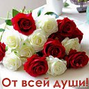  Mazor** ***, , 48  -  10  2017    