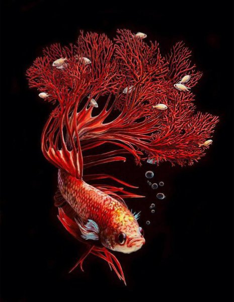   (Lisa Ericson)  ,   ,    ,  ... - 8