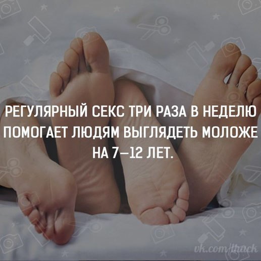  - 11  2017  03:37
