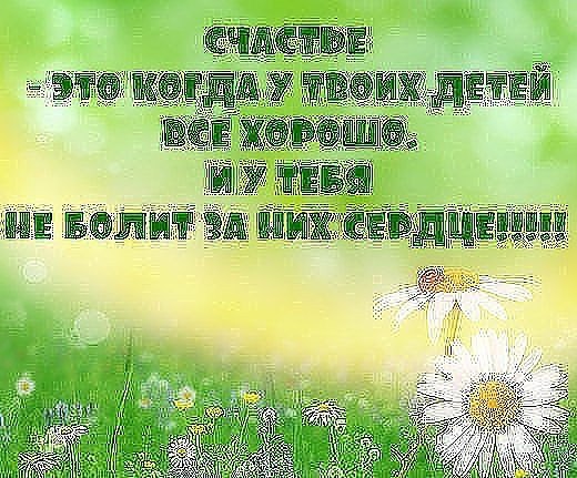 Дети – это счастье, дети – это радость, Дети – это в жизни свежий ветерок. Их не заработать, это не ... - 2