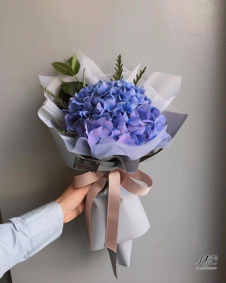    - 29  2017  23:10 - 4