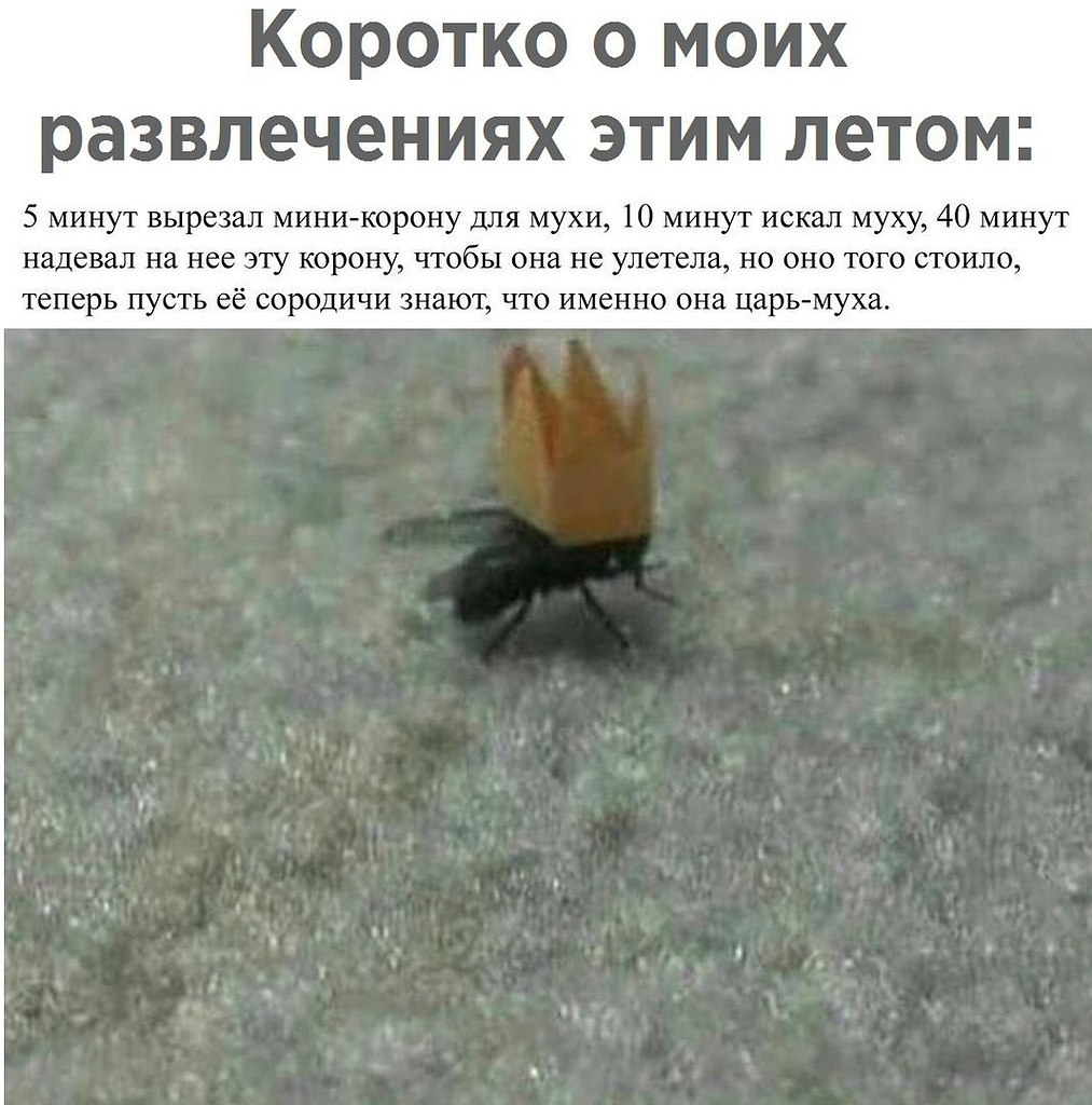  - 2  2017  02:03