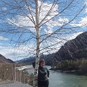 ���� �������, ����������� - ��������� 12 ������ 2017