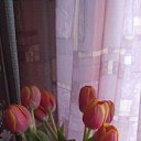 ���� Pashen, ������, 45 ��� - ��������� 28 ������ 2017 � ������ ���� ����������