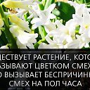 ���� ��������, ������������, 51 ��� - ��������� 28 ������ 2017 � ������ ������ ��������