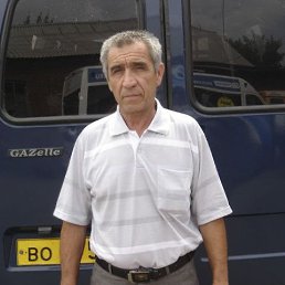 �����, ������, 65 ���