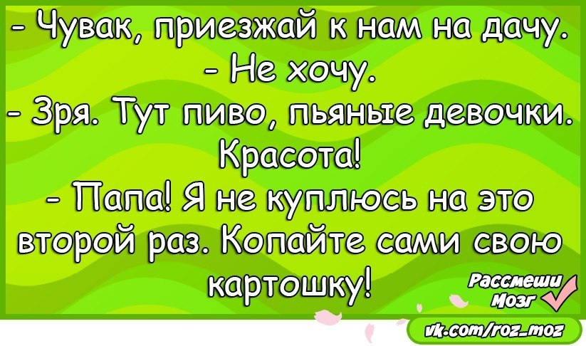 - 15  2017  10:13