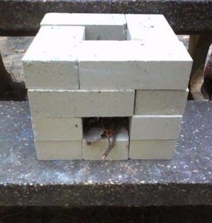 -   