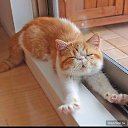 ���� Enigma, ������ �������� - ��������� 7 ��� 2017 � ������ ������ ��������