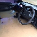 ���� �������, ������������, 53 ���� - ��������� 14 ������� 2017 � ������ ������ ��������