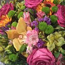 ���� ����, �����, 50 ��� - ��������� 6 ��� 2017