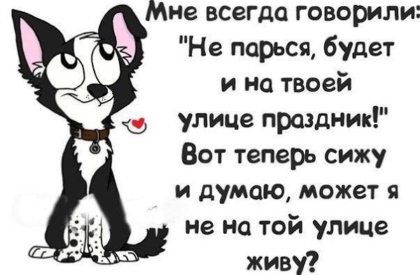 ������ �������� &copy; - 15 ���� 2017 � 16:37