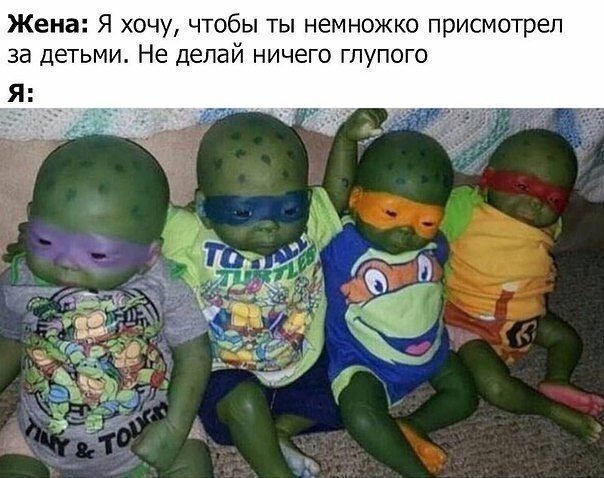  - ,  - 4  2017  14:24