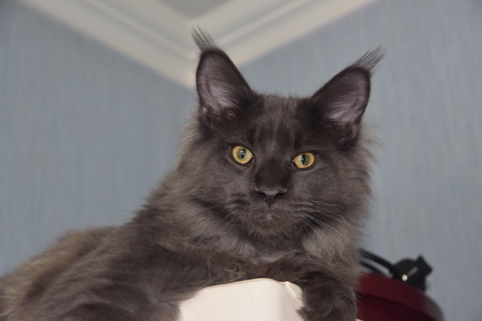  - 8  2017  23:30 - 2