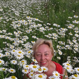 ���������, �����������, 63 ����