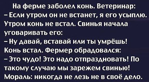 Comedy Club - 28  2017  14:13