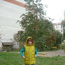 ���� �������, ������ - ��������� 1 ������� 2017 � ������ ���� ����������