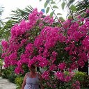 ���� �������, ������ - ��������� 18 ������ 2017 � ������ ���� ����������