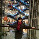 ���� �����, �������, 55 ��� - ��������� 3 ������ 2017 � ������ ���� ����������