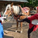 ���� ����������, ������� ��������, 63 ���� - ��������� 27 ������� 2017 � ������ ���������� �������� ���������