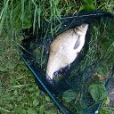 ���� ������, ����� ������, 58 ��� - ��������� 30 ���� 2017 � ������ ���������� ���� 2017�