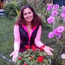 ���� �����, ������, 48 ��� - ��������� 5 �������� 2017 � ������ ���� ����������