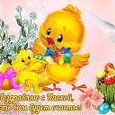 ���� �����, ������������ - ��������� 20 ������ 2017 � ������ ���� ����������