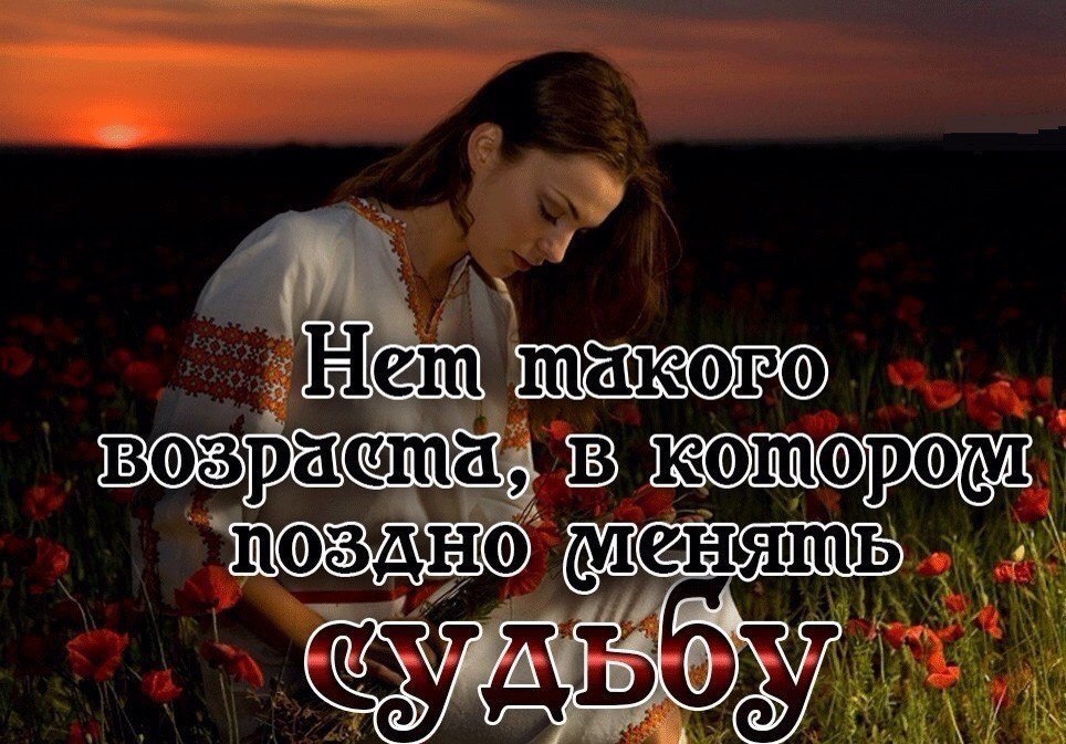    .     !     .    ... - 2