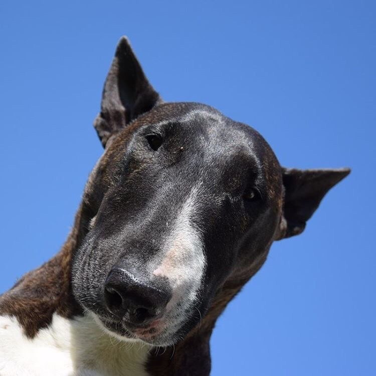 Саратов! В Буле-Городке есть кто-нибудь из Саратова, кто может помочь бульке? Пишите пожалуйста в лс ...