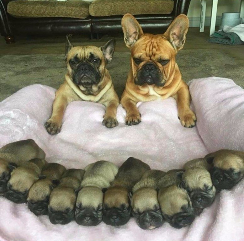 ,   ...!)