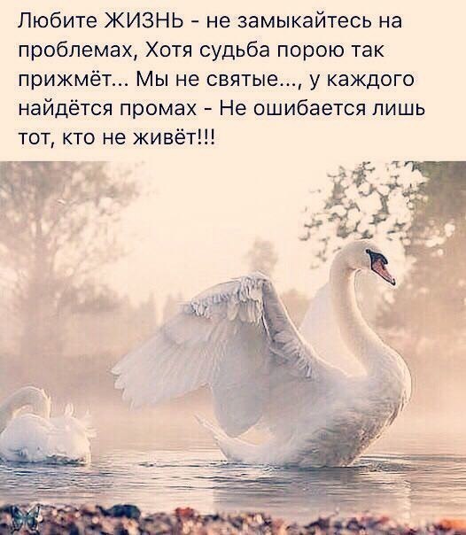 ***Victoria Viktorovna*** - 21  2017  16:14