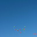 ���� ����1234572, �������, 28 ��� - ��������� 14 �������� 2017 � ������ ������ ��������