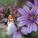 ���� ������, ��������� - ��������� 8 ������� 2017 � ������ ������ ��������