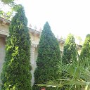 ���� �������, �����������, 72 ���� - ��������� 6 ���� 2017 � ������ ������ ��������